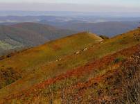 Bieszczady