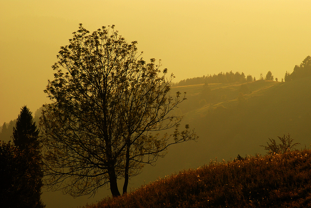 I był Beskid, i były słowa...