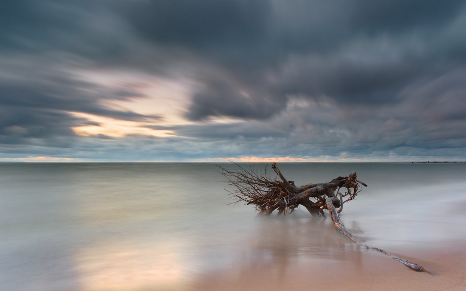 Water Shows the Hidden Treasures