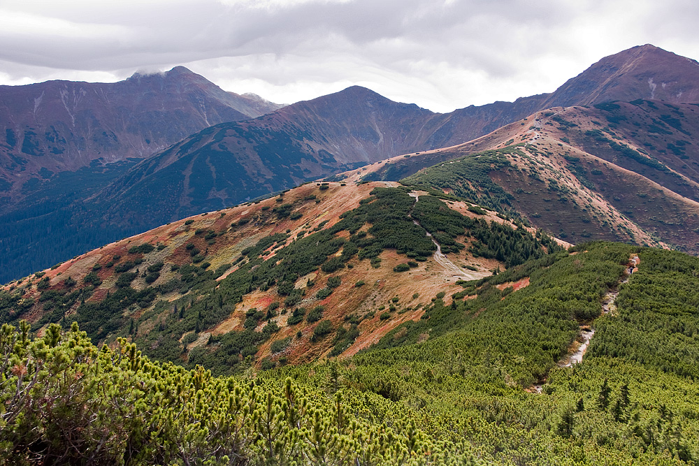 Tatry Zachodnie