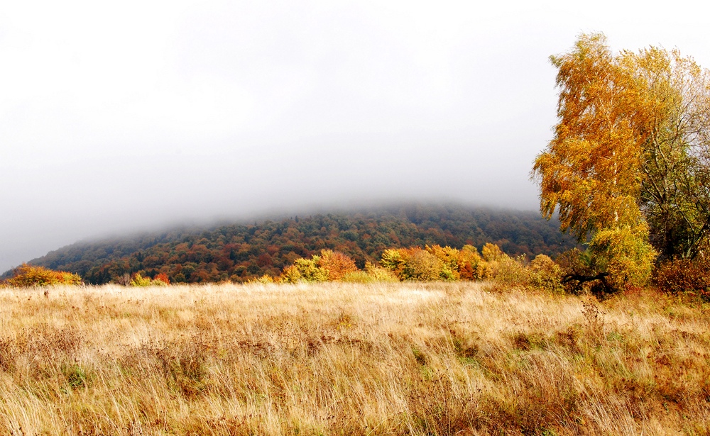 Bieszczady -Wetlina