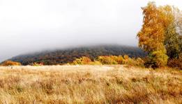 Bieszczady -Wetlina