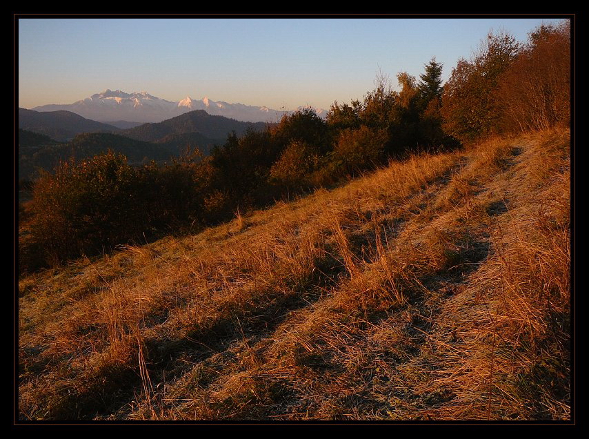 Pod-Beresnikowe poranne spacery...