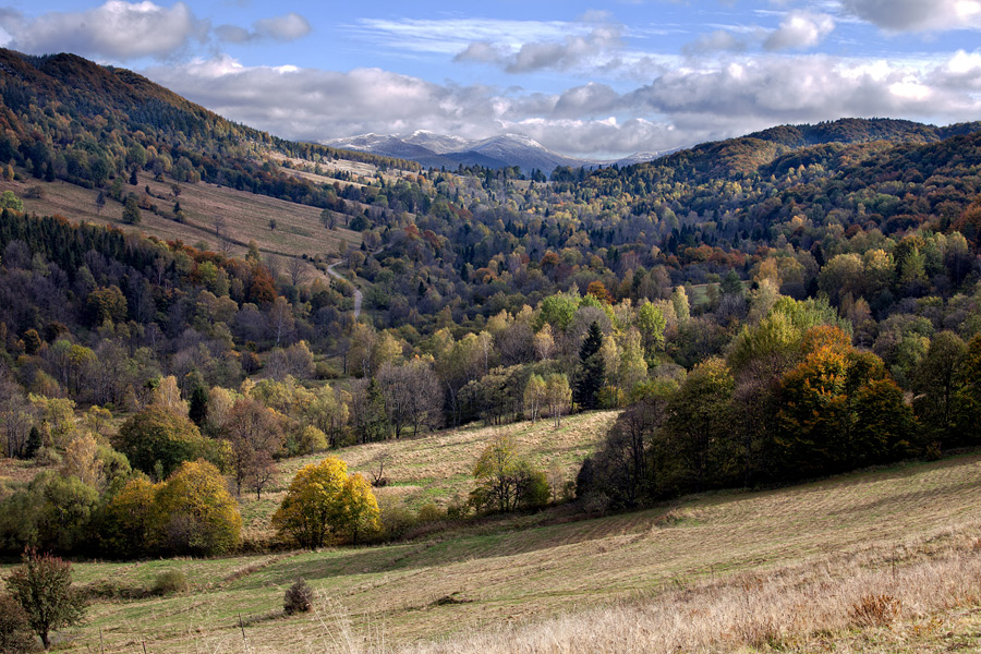 Bieszczady 2011