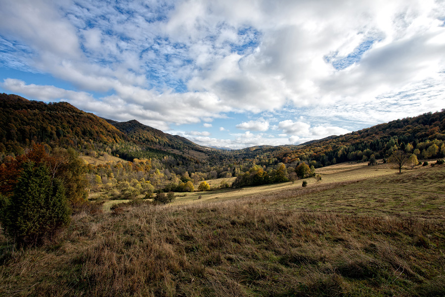 Bieszczady 2011