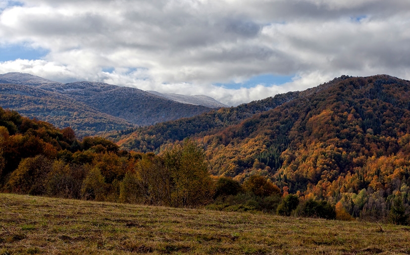 Bieszczady 2011