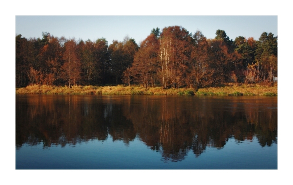 jesień nad Narwią