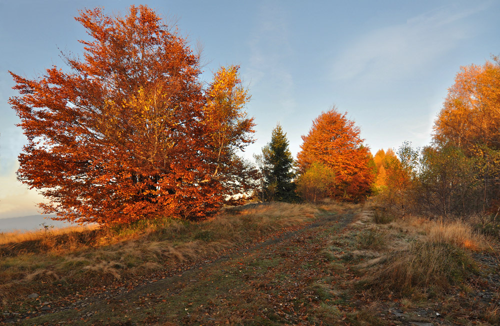 jesień w Beskidach