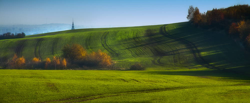 Fields of Autumn