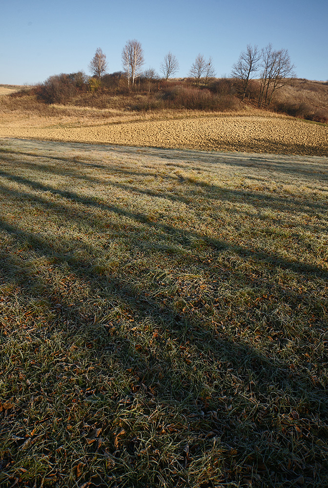 Słoneczko na orce