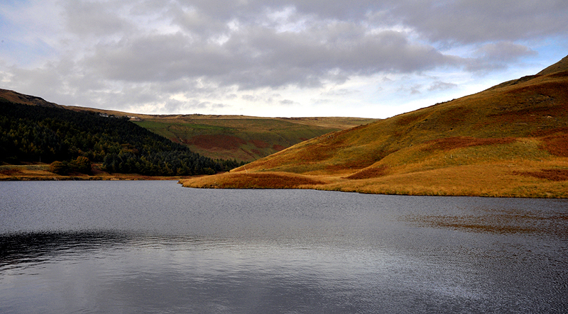 dovestone