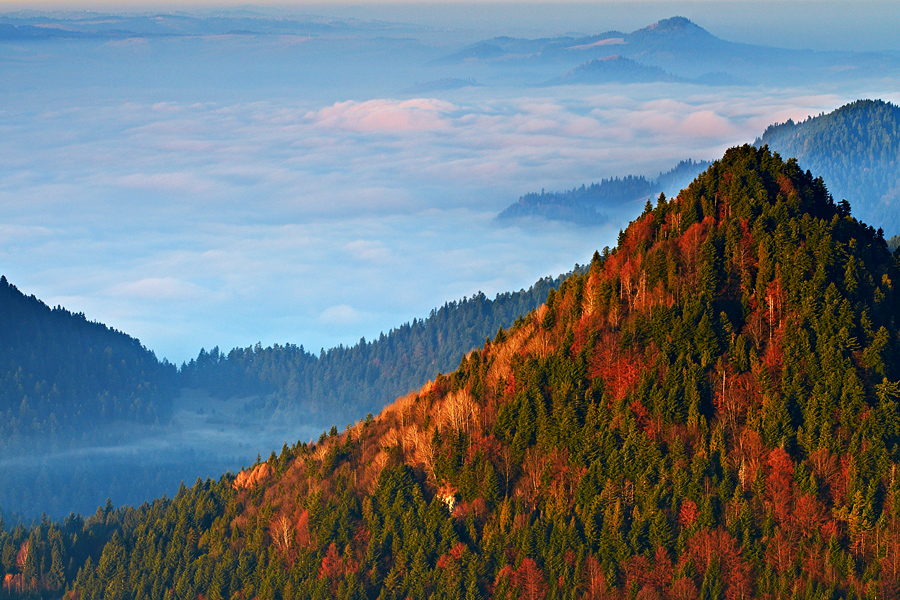 Jesienne Pieniny