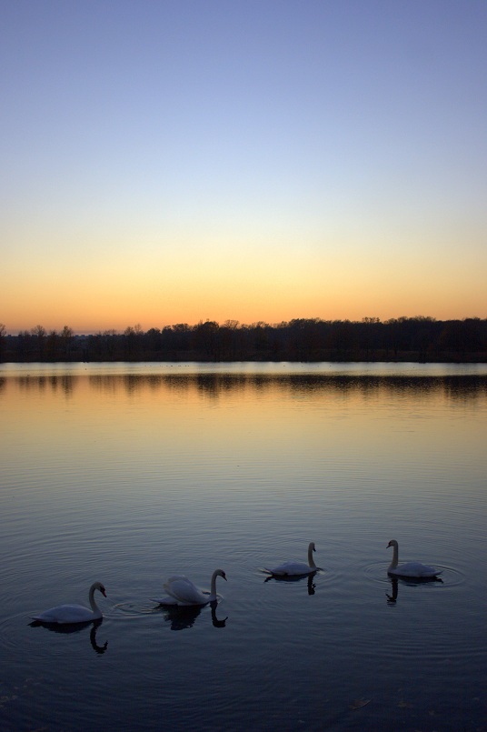 Wrocław - zachód nad Odrą