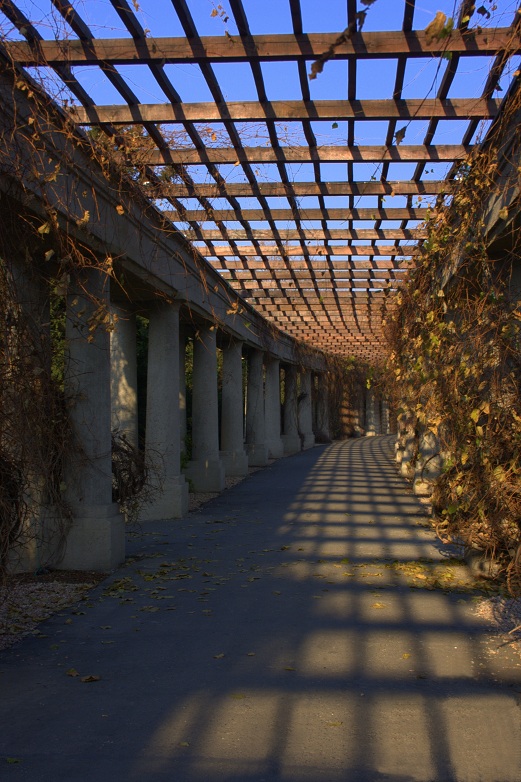 Wrocław - Pergola