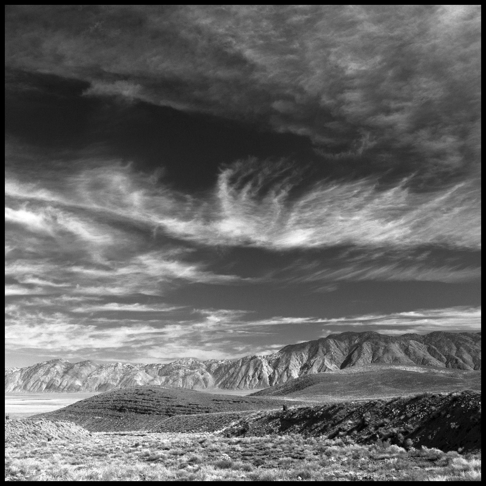 Nevada b&w