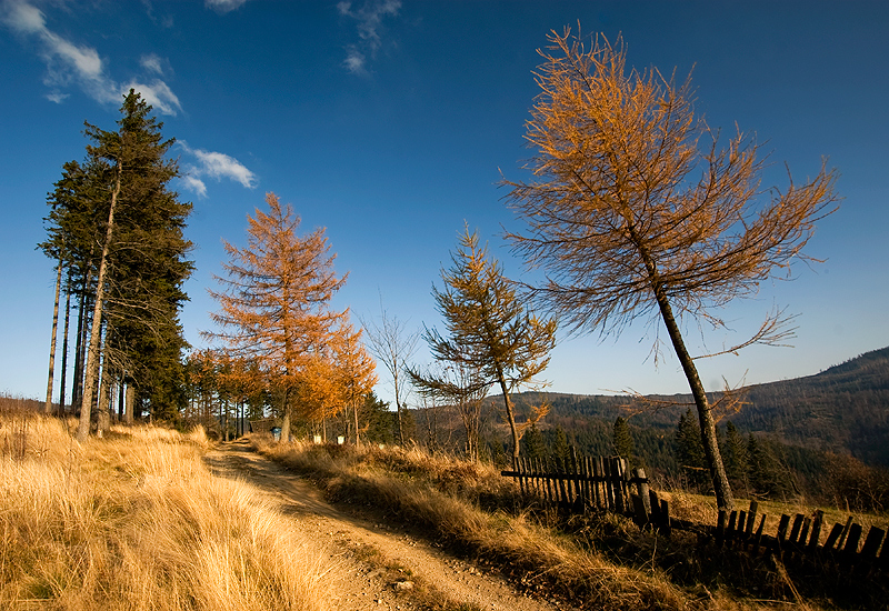 Beskidy