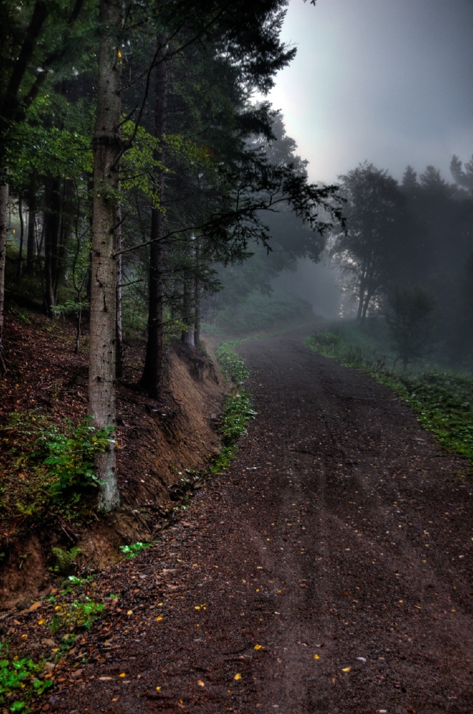 Bieszczady