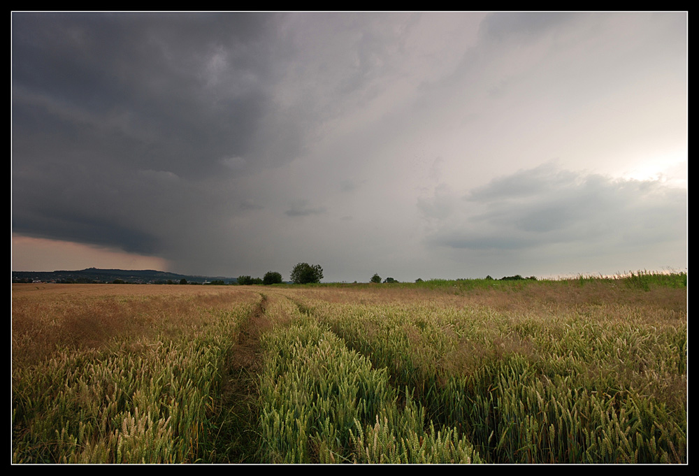 Cisza przed burzą