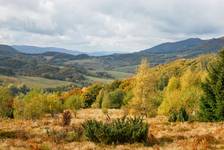 Bieszczady 2011