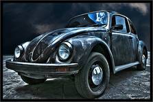 Beetle