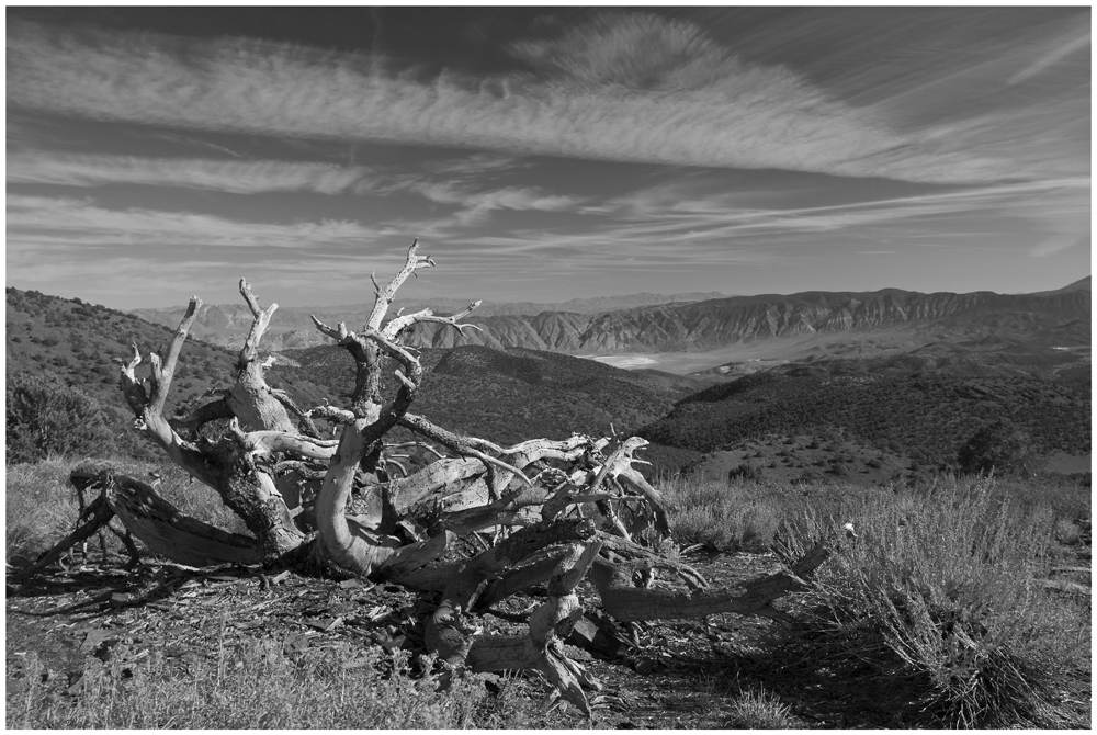 sierra nevada, white mountains