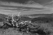 sierra nevada, white mountains