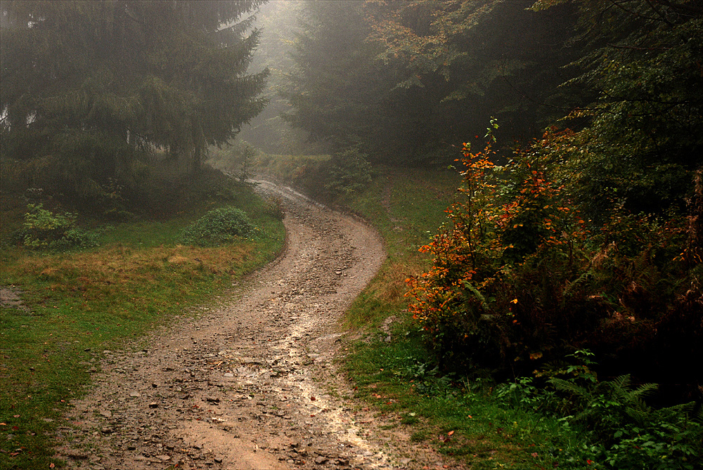 drogi Beskidów... [5]