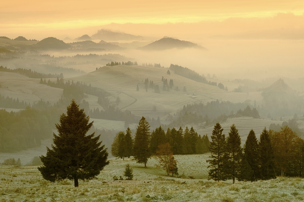 przełęcz Rozdziela