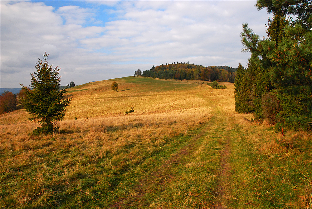 drogi Beskidów... [6]