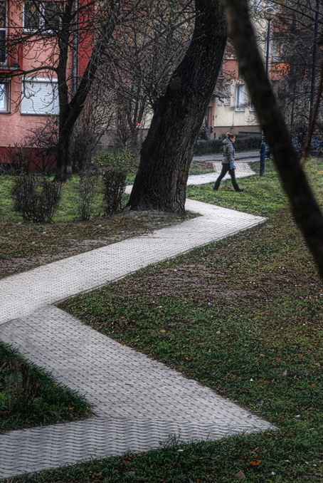 Chcę wywołać dyskusję publiczną otwartą na temat ten jaką rolę w fotografii światowej pełni ta Pani, która idzie po trawie w poprzek, a nie po chodniku ?