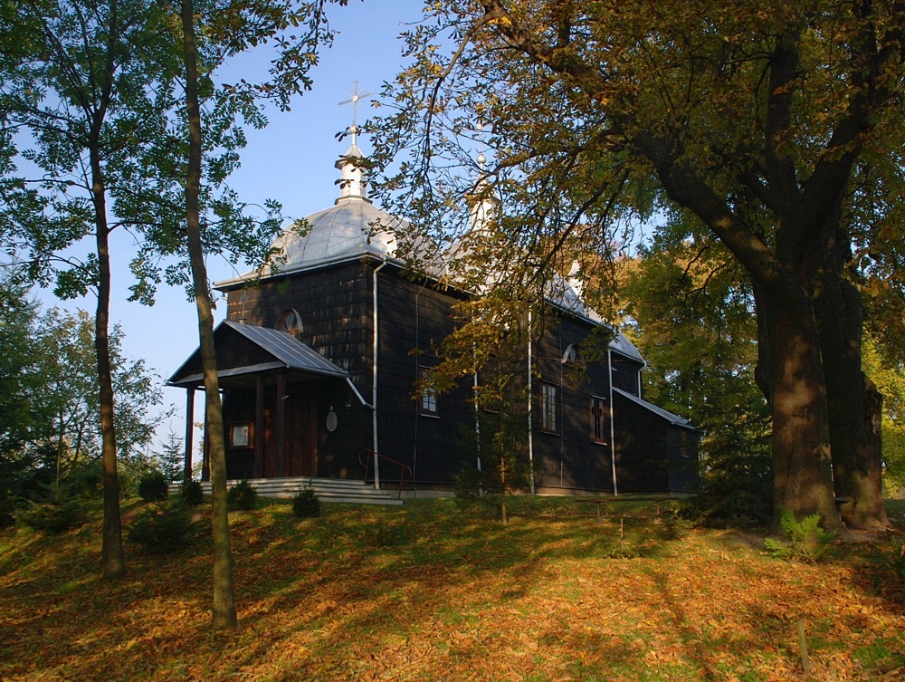 LISKI (Grzęda Sokalska)