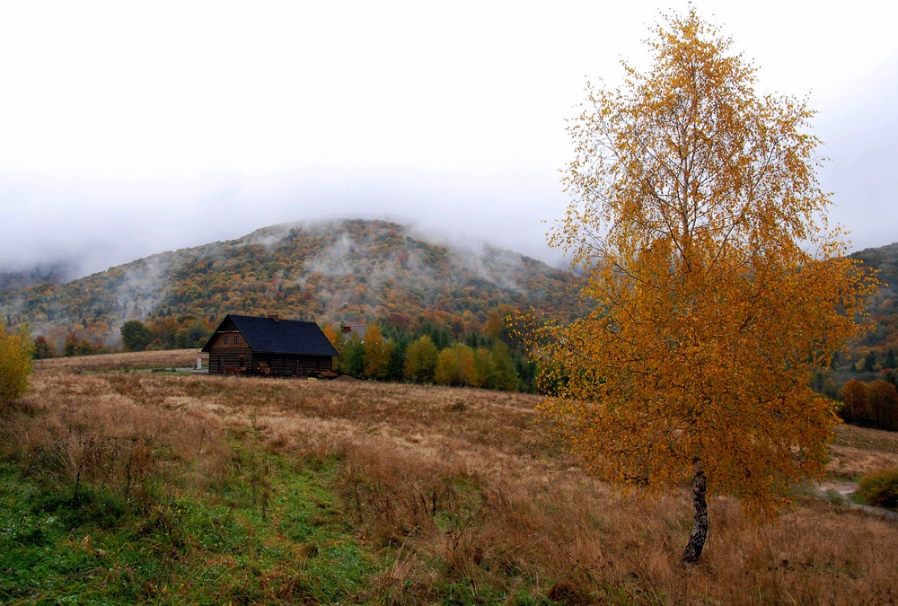 Bieszczady -Wetlina