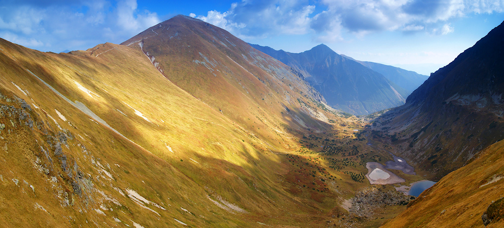 piegowate Tatry