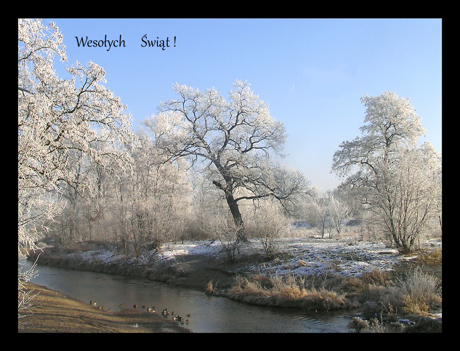 Wesołych Świąt !