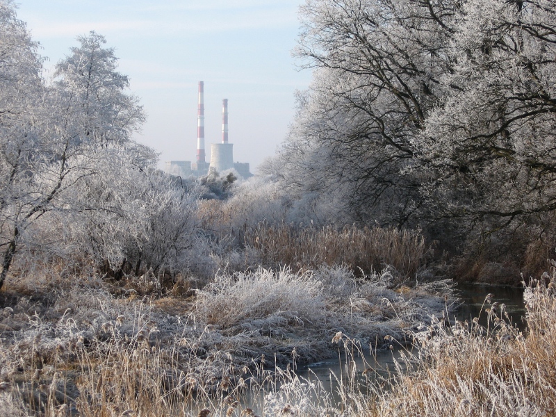 Krajobraz przyrodniczo-industrialny