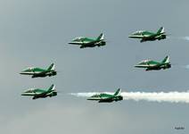 Saudi Hawks