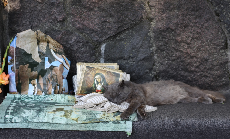 Felis Necropolis