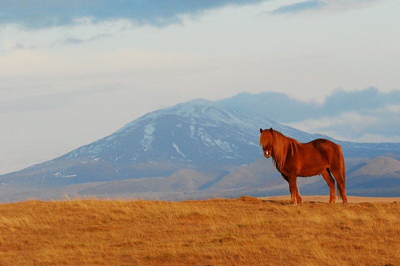 Wulkan Hekla