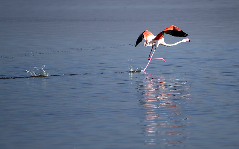 Nakuru