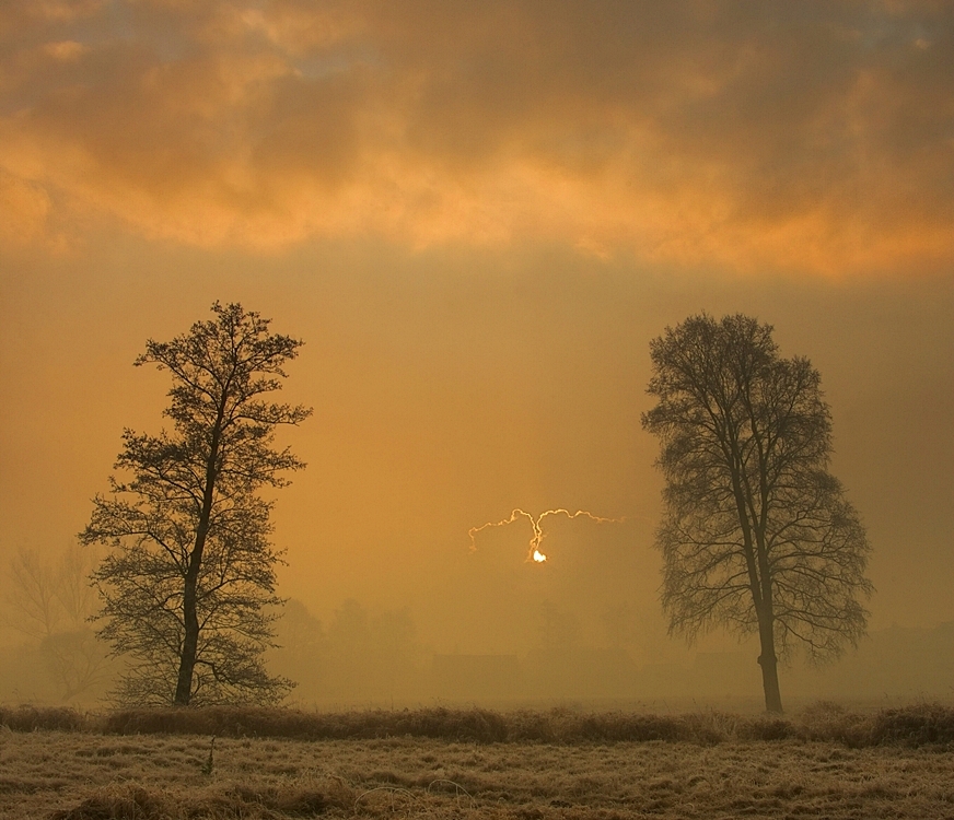 Strażnicy światła