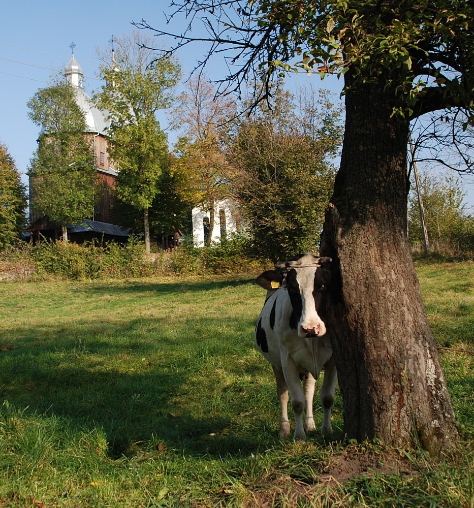 DŁUŻNIÓW (Grzęda Sokalska)