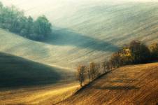 Moravia