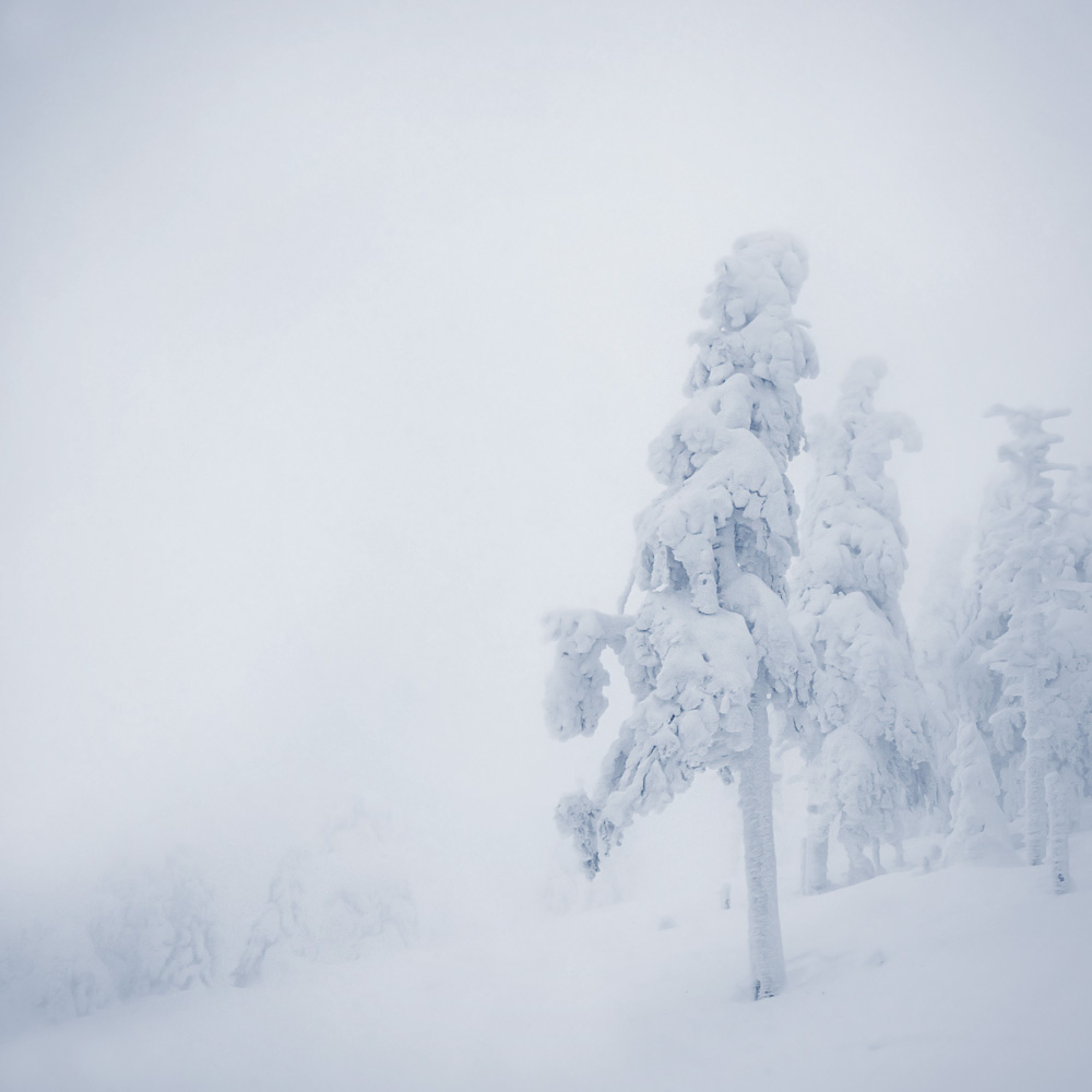 Czech Republic - Lonely Winter Time