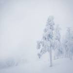 Czech Republic - Lonely Winter Time