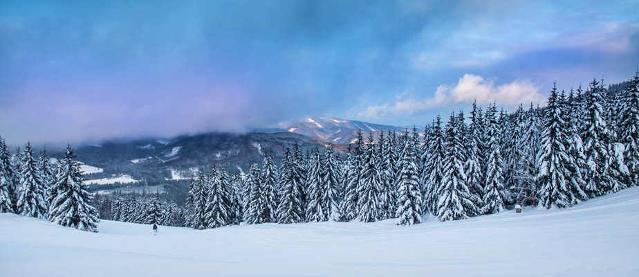 Czech Republic - Lonely Winter Time