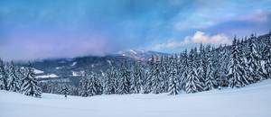 Czech Republic - Lonely Winter Time