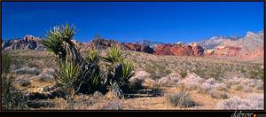 Red Rocks