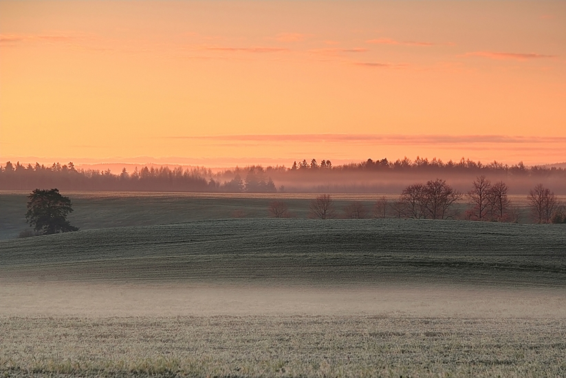 Orzeźwiający poranek