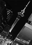 Sky Tower w Auckland