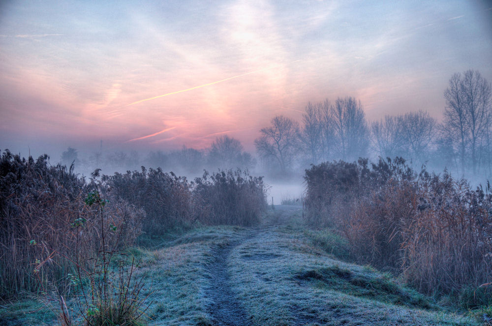 Misty morning